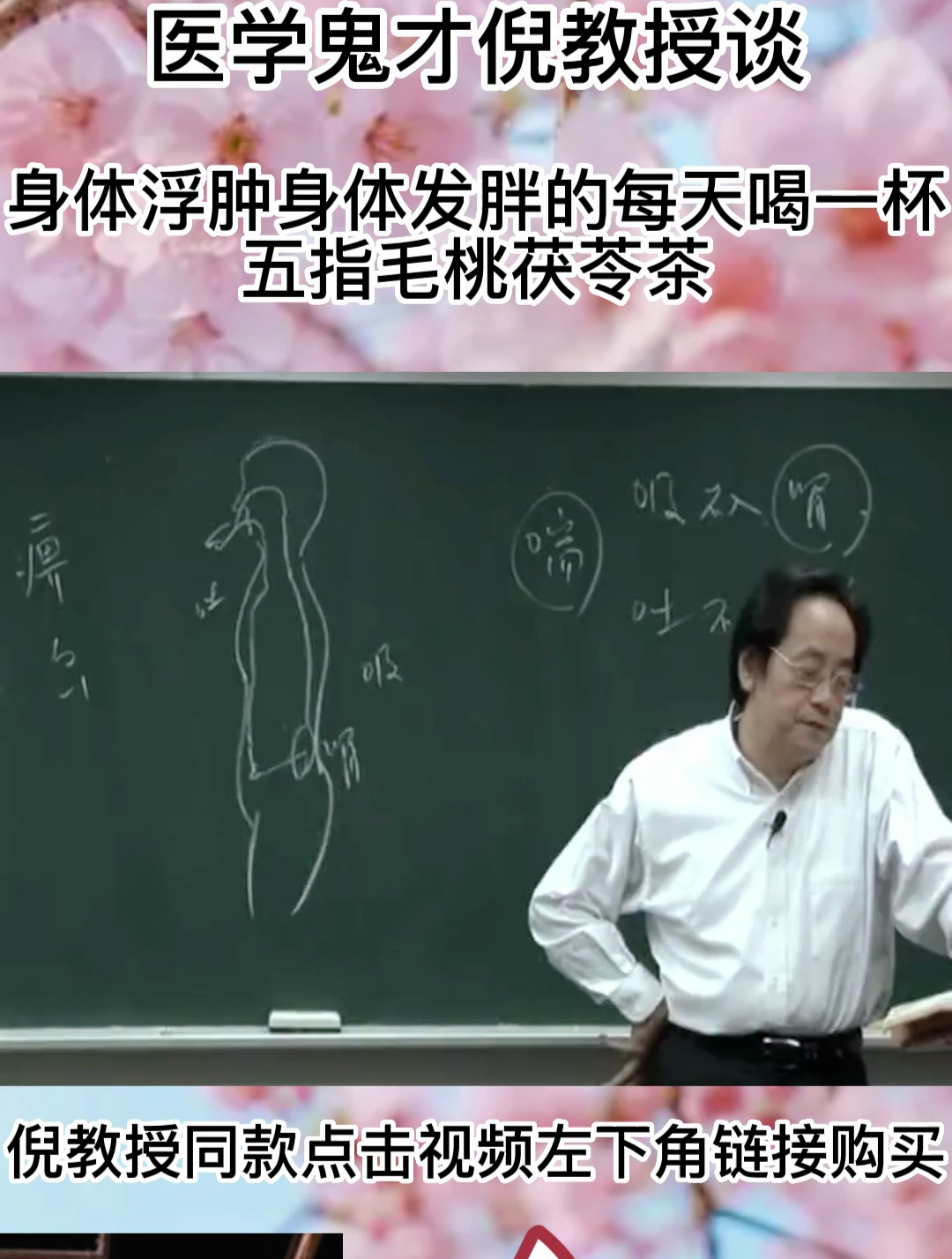 倪教授谈:五指毛桃茯苓茶具有健脾补肺的功效