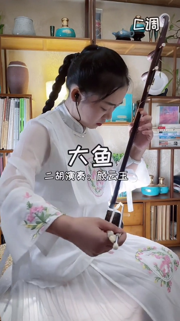 二胡演奏《大鱼》