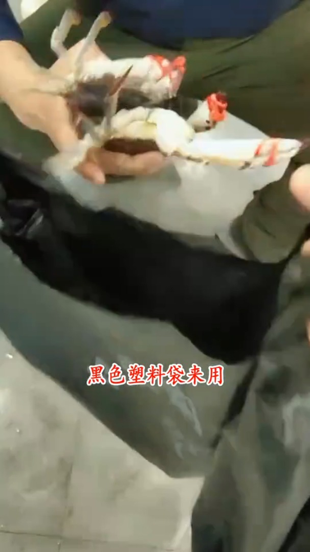 鱼贩子卖鱼过后,为何要用黑袋子装鱼?