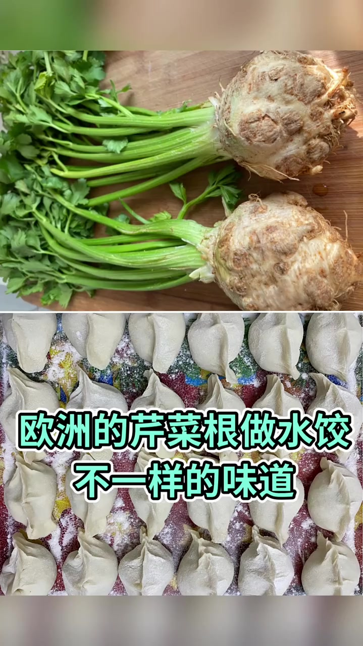 没想到欧洲的芹菜根做饺子也很美味