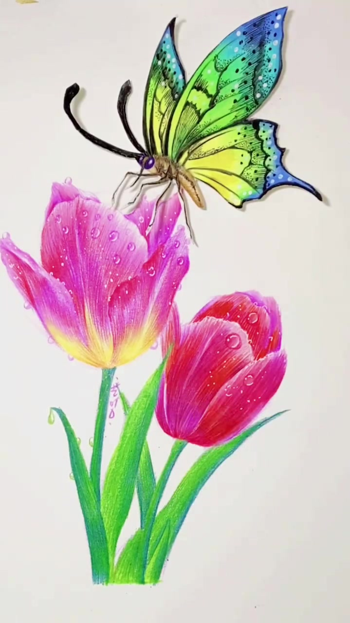 蝶恋花,我的绘画日常