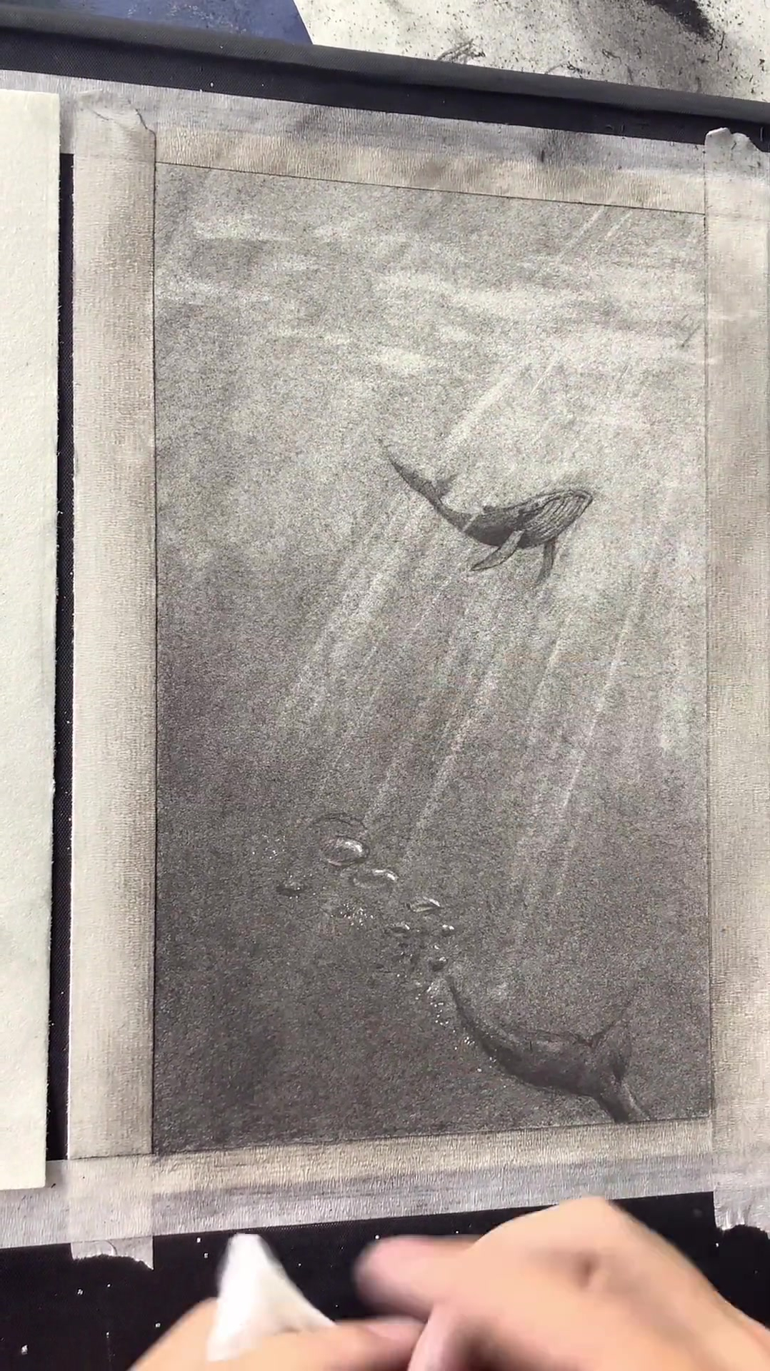 用素描重点突出海蓝见鲸的蓝