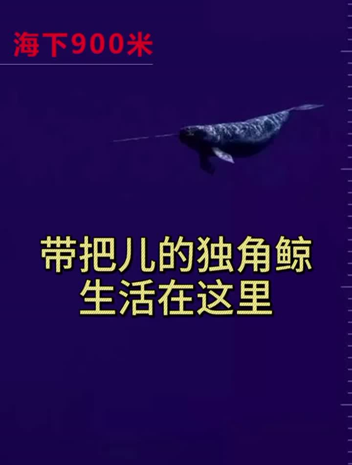 冷知识海底一万米有多恐怖知加油站涨知识我要上热门