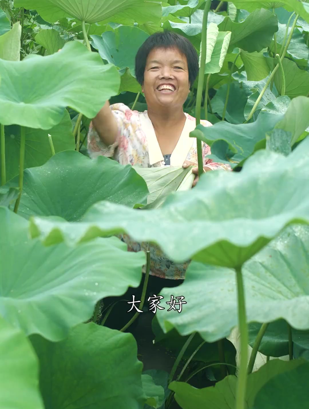 给孩子做个荷叶鸡,鸡肉鲜嫩多汁,夹杂着荷叶的清香,简直太香了