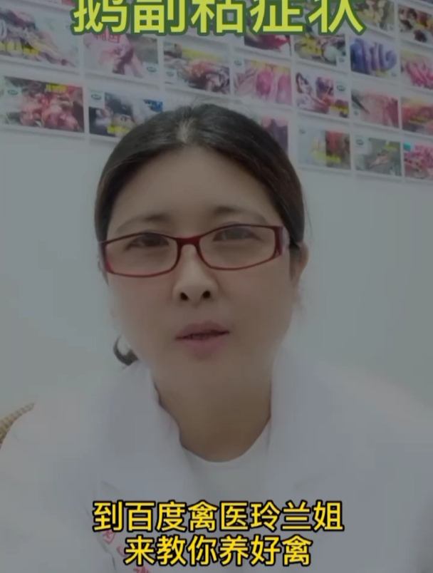鹅副粘的症状与治疗