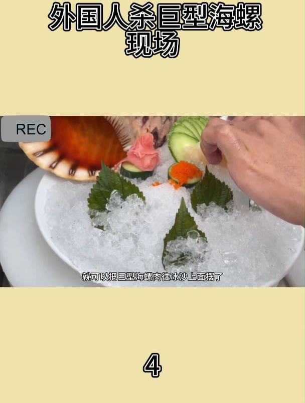 外国人杀巨型海螺现场4
