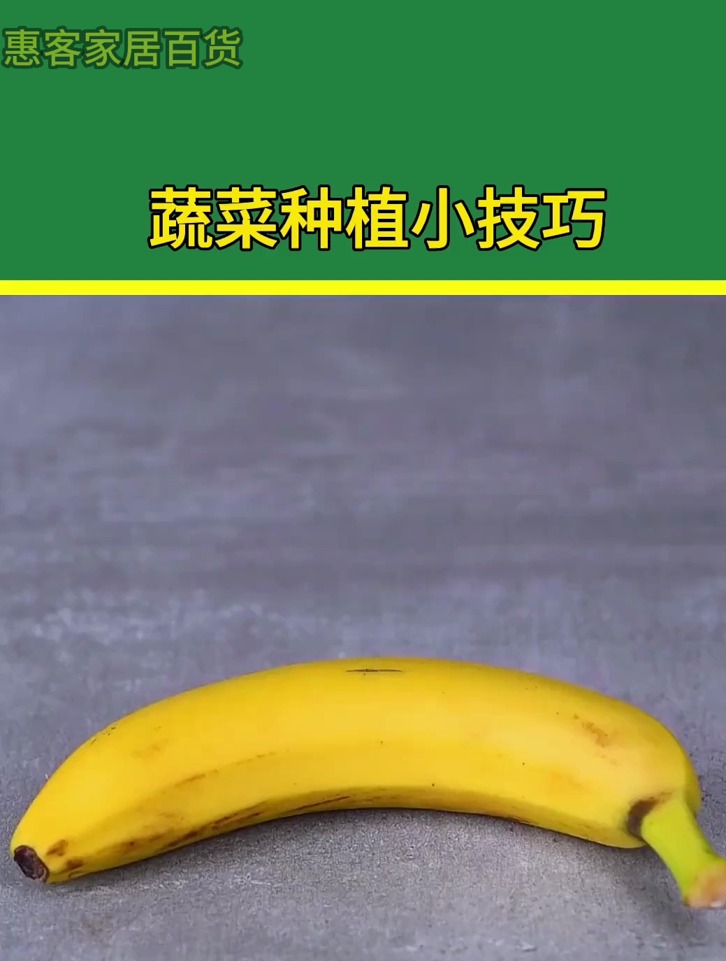 学会这些蔬菜种植小技巧,菜市场就会去得少啦!