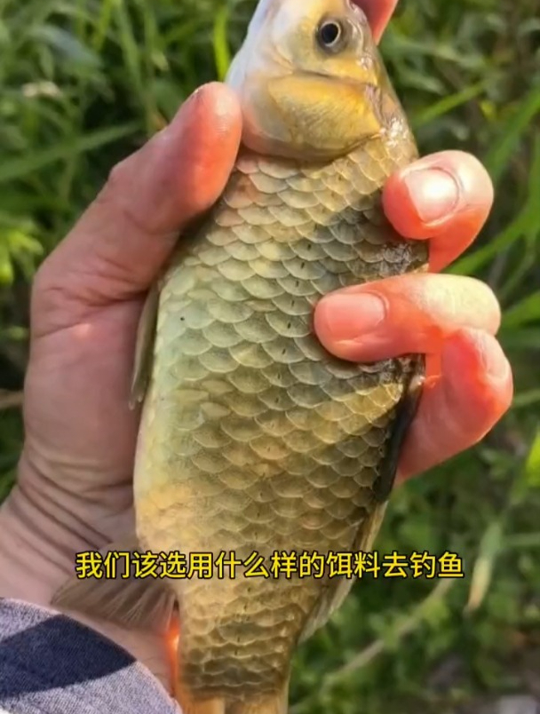 蚯蚓挂钩垂钓,不仅粘手味道还大,看看老钓友如何解决这难题?