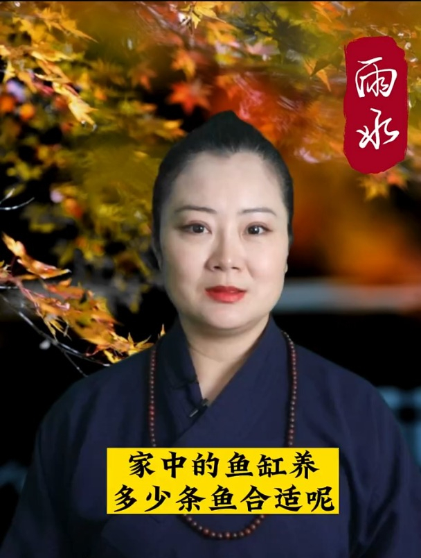 家中的鱼缸养多少条鱼合适呢