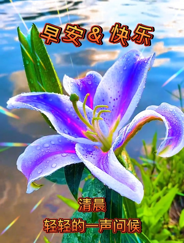 早安问候祝福语录