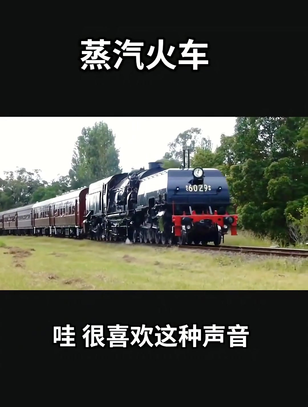 声音很特殊的蒸汽火车