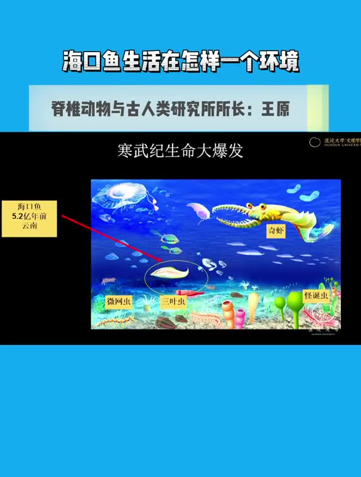 海口鱼生活在怎样一个环境?