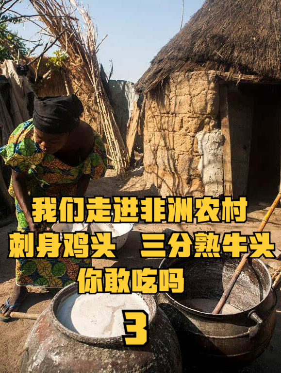 走进非洲农村,刺身鸡头,3分熟牛肉还带毛,你敢吃吗?