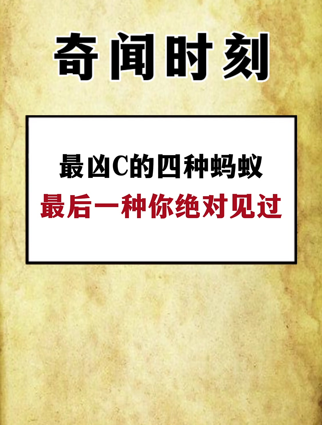 最凶残的四种蚂蚁 最后一种你绝对见过