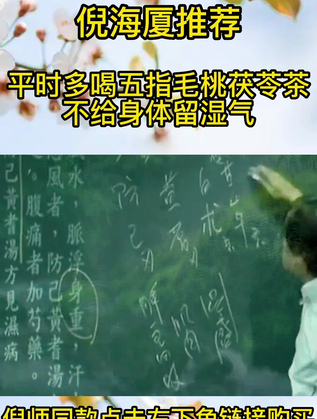 倪师讲:五指毛桃茯苓茶的功效喝作用你了解过吗?