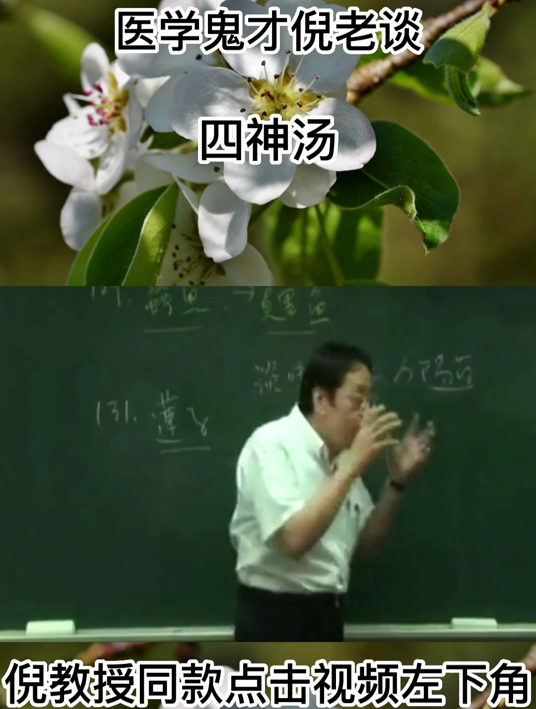 倪教:四神汤具有清热泻火的功效