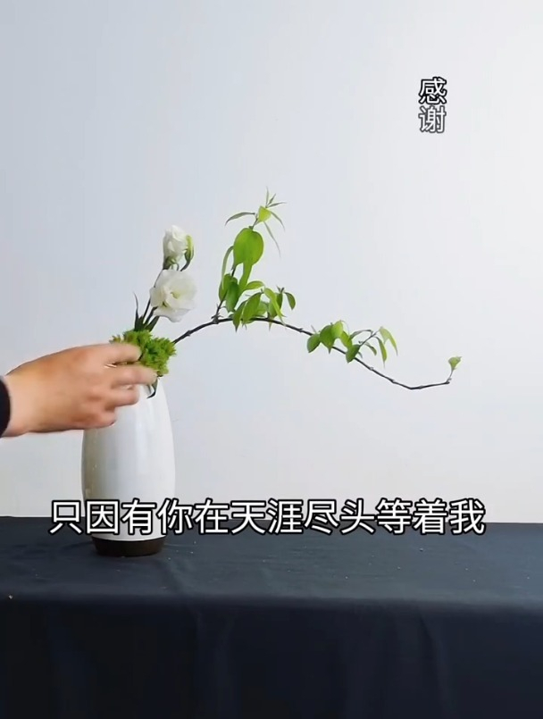 将生活中的鸡毛蒜皮,替换成身边的花花草草