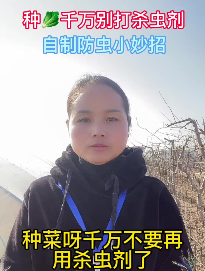 种菜还在打杀虫剂?教你自制高效防虫剂