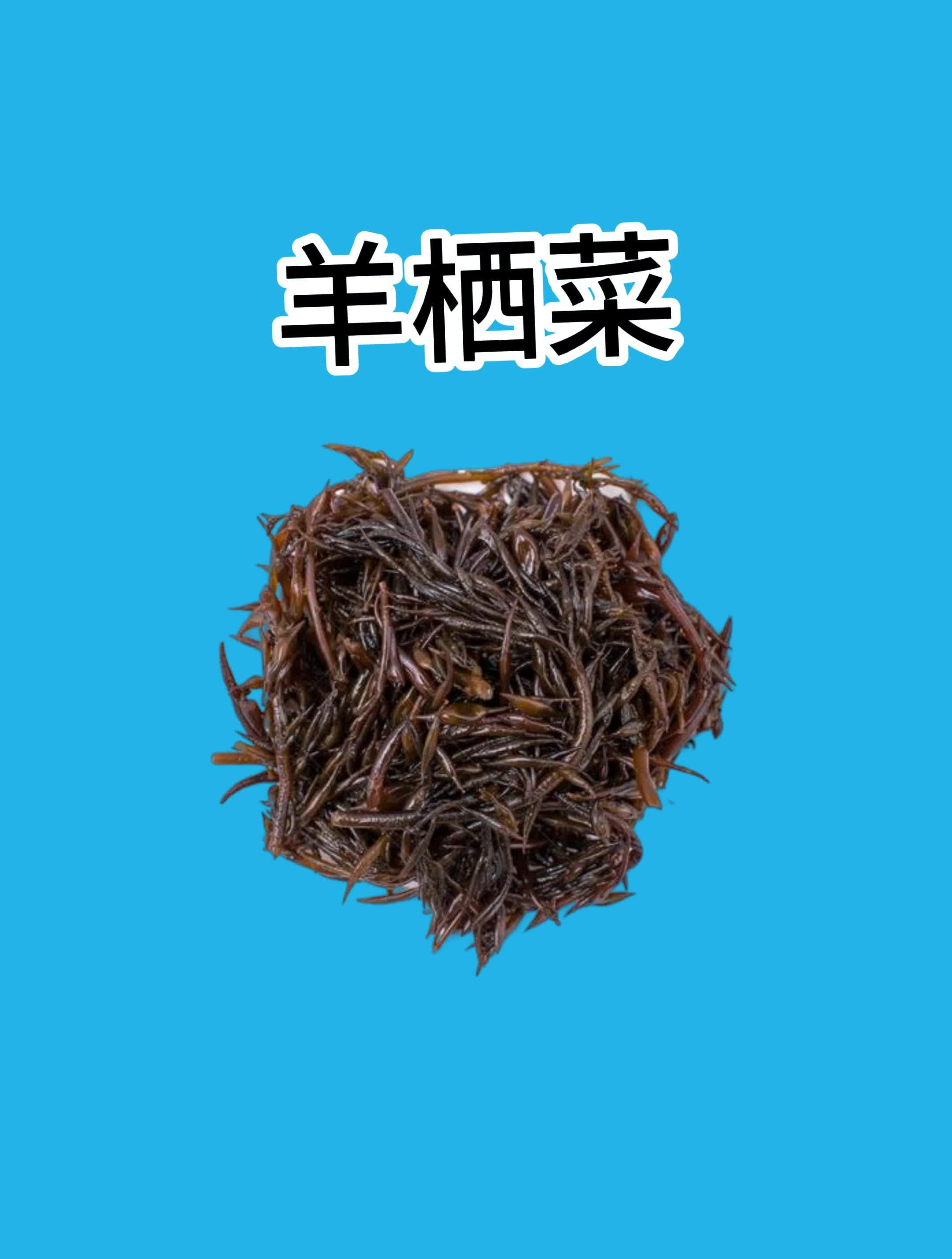 爱吃火锅的你,这个“海藻”你知道吗?