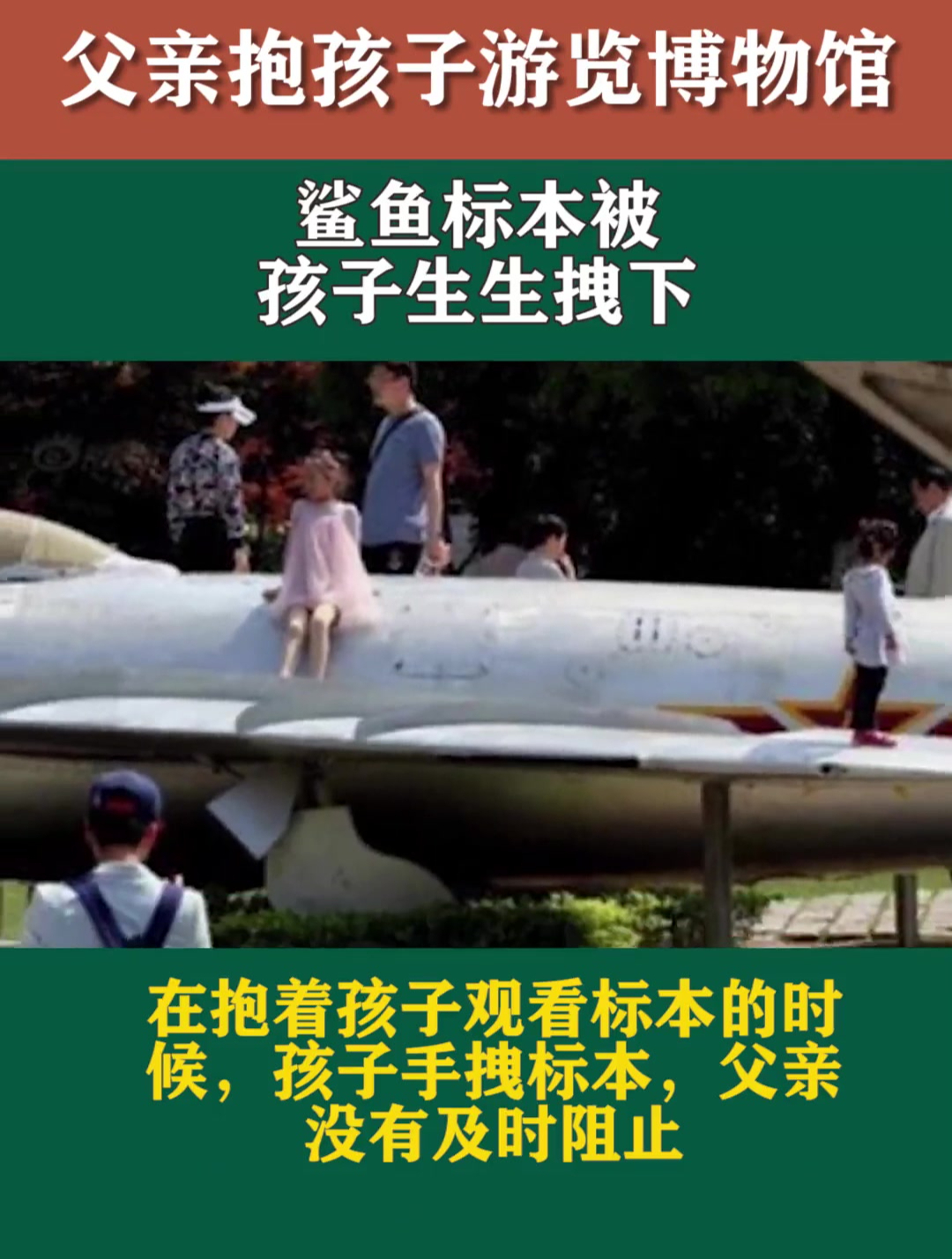 父亲抱着孩子游览博物馆,鲨鱼标本被孩子生生拽下,网友:完蛋了