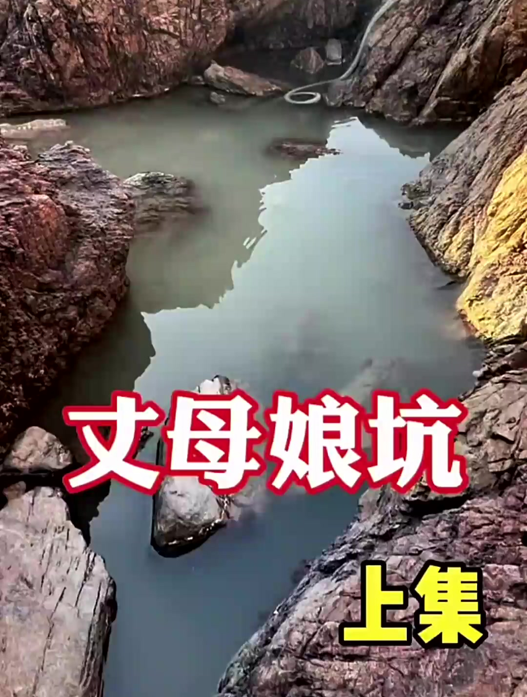 孝敬丈母娘的猪脚打窝 惊现“鱼王”三刀 爆擒十几斤章鱼保罗
