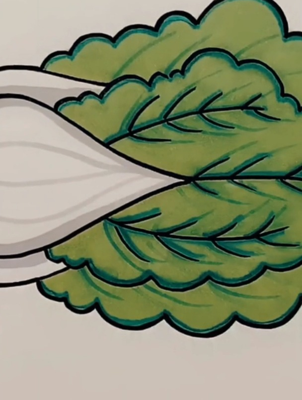 大白菜简笔画,简笔画教学