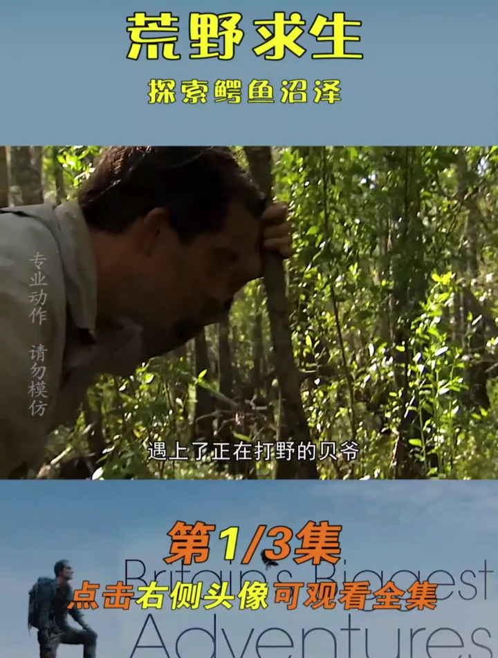 小鳄鱼的好大哥莫名其妙就被烤