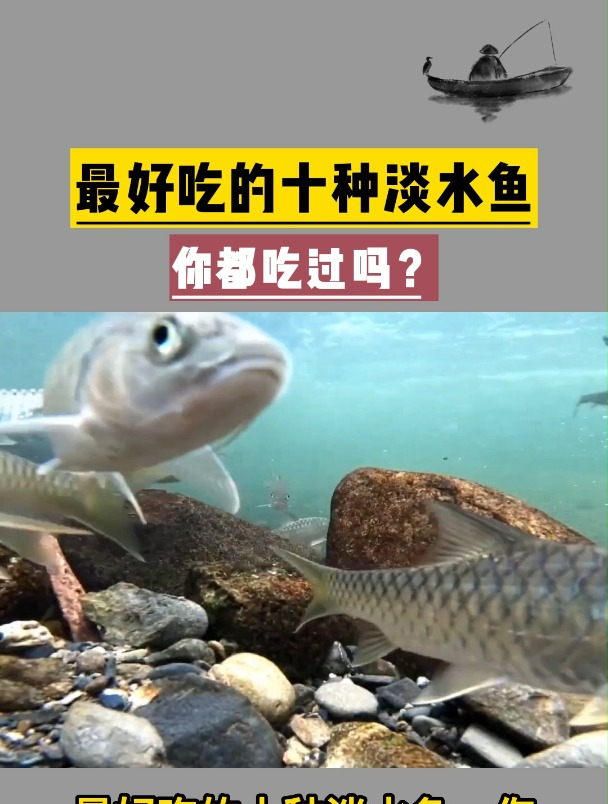 最好吃的十种淡水鱼