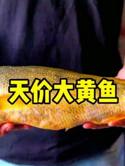 天价大黄鱼,曾经只卖几毛钱!发生了什么?
