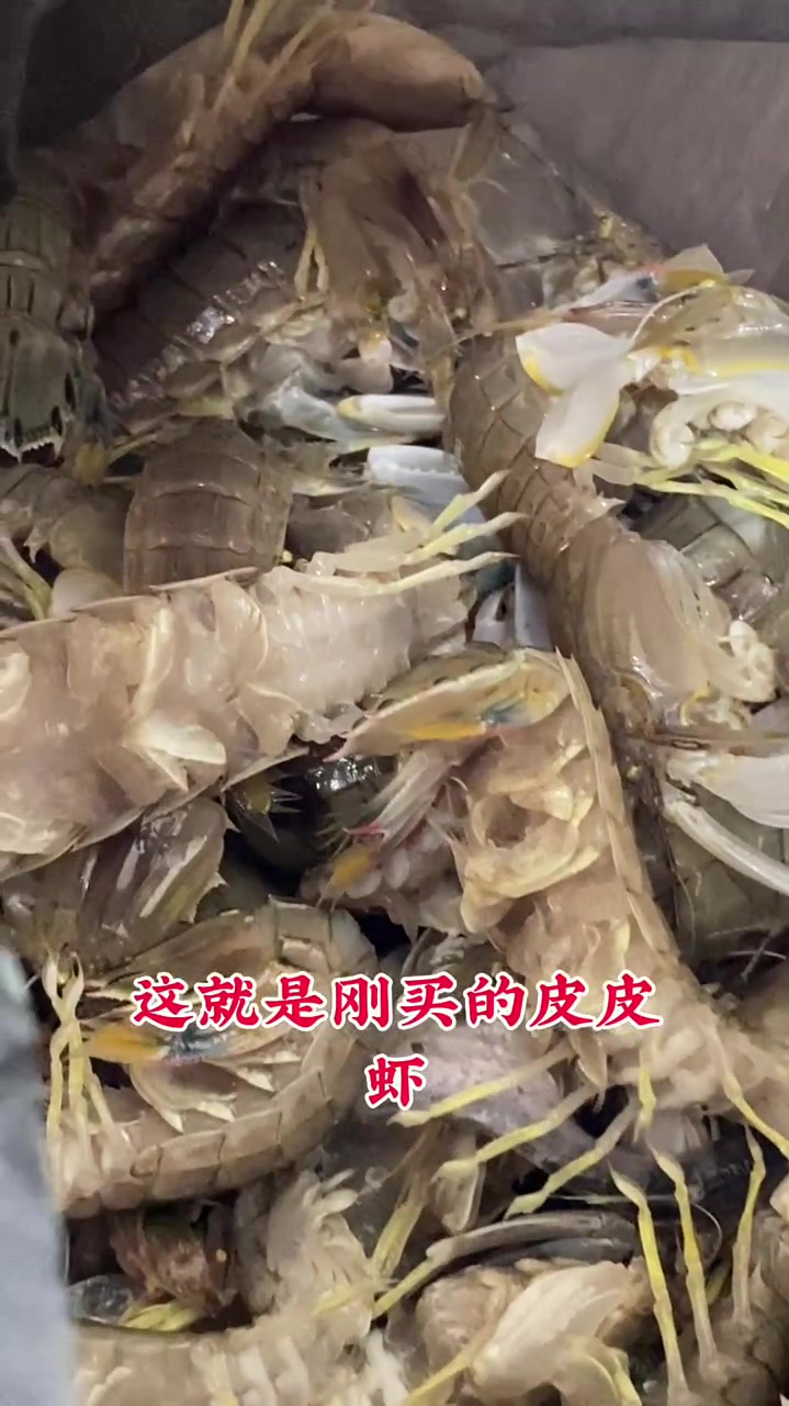现在是吃皮皮虾的季节,花了260 买了一盆,今天做了一半
