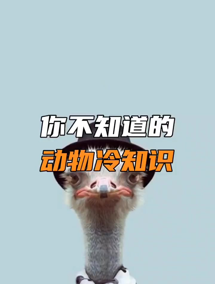 你知道世界上最大的猴是什么种类吗?
