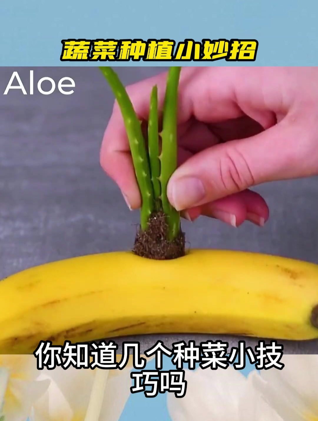 学会这些小技巧,从此蔬菜没烦恼