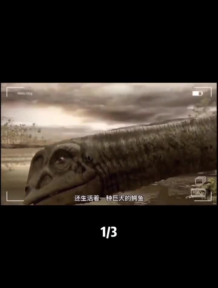 史前最大的鳄鱼——帝鳄帝鳄动物神奇动物在动物世界史前巨兽