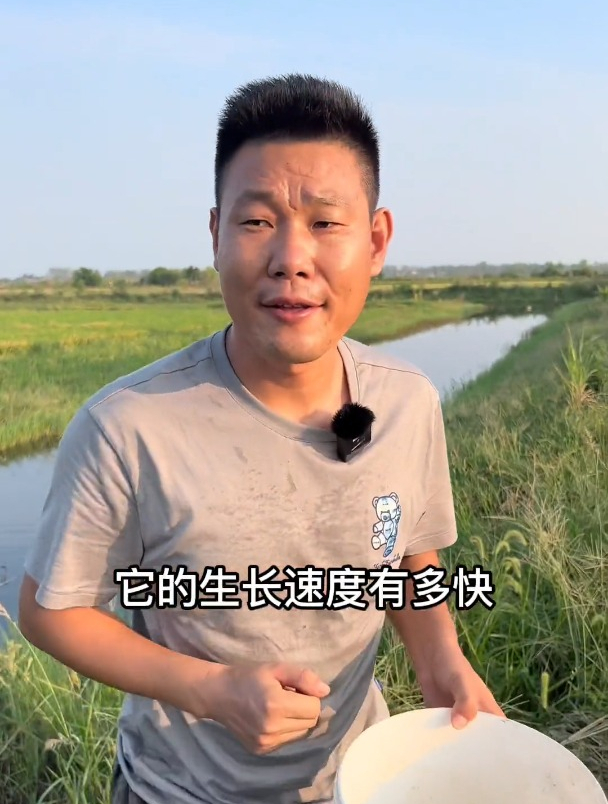 提高虾苗冬季的存活率也是我们育早苗的目的之一 小龙虾养殖