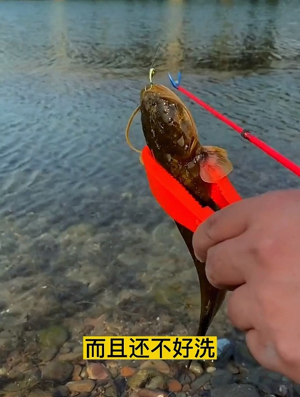 每次徒手抓鱼手弄得又脏又臭,学会这样“钓”,上鱼太快!