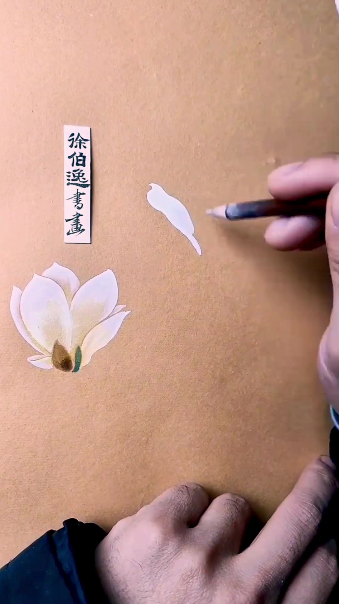 好看的国画,画一幅玉兰花