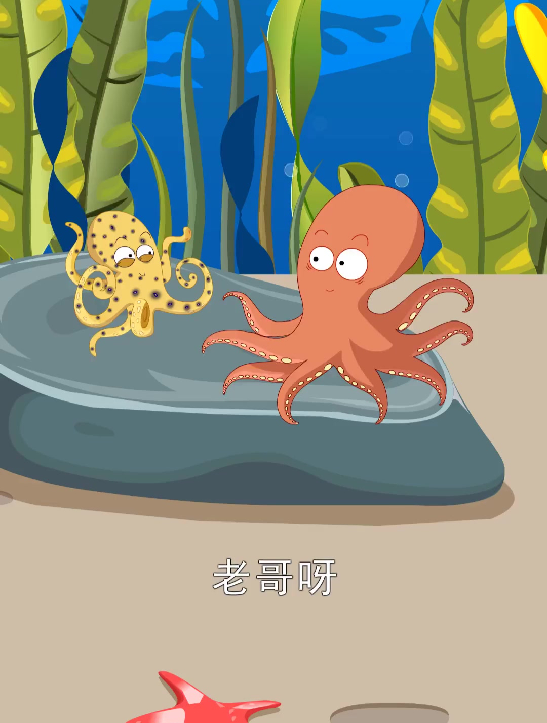 蓝环章鱼 你了解么 虎爸的知识面还挺广