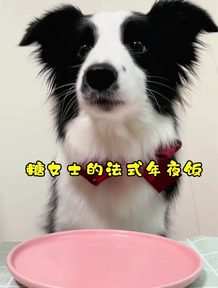回姥姥家吃饺子!