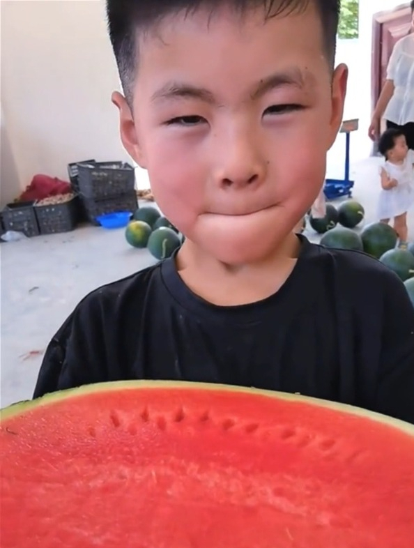 种西瓜选这个品种,皮薄如纸,还很抗病,不用整枝也能轻松高产!