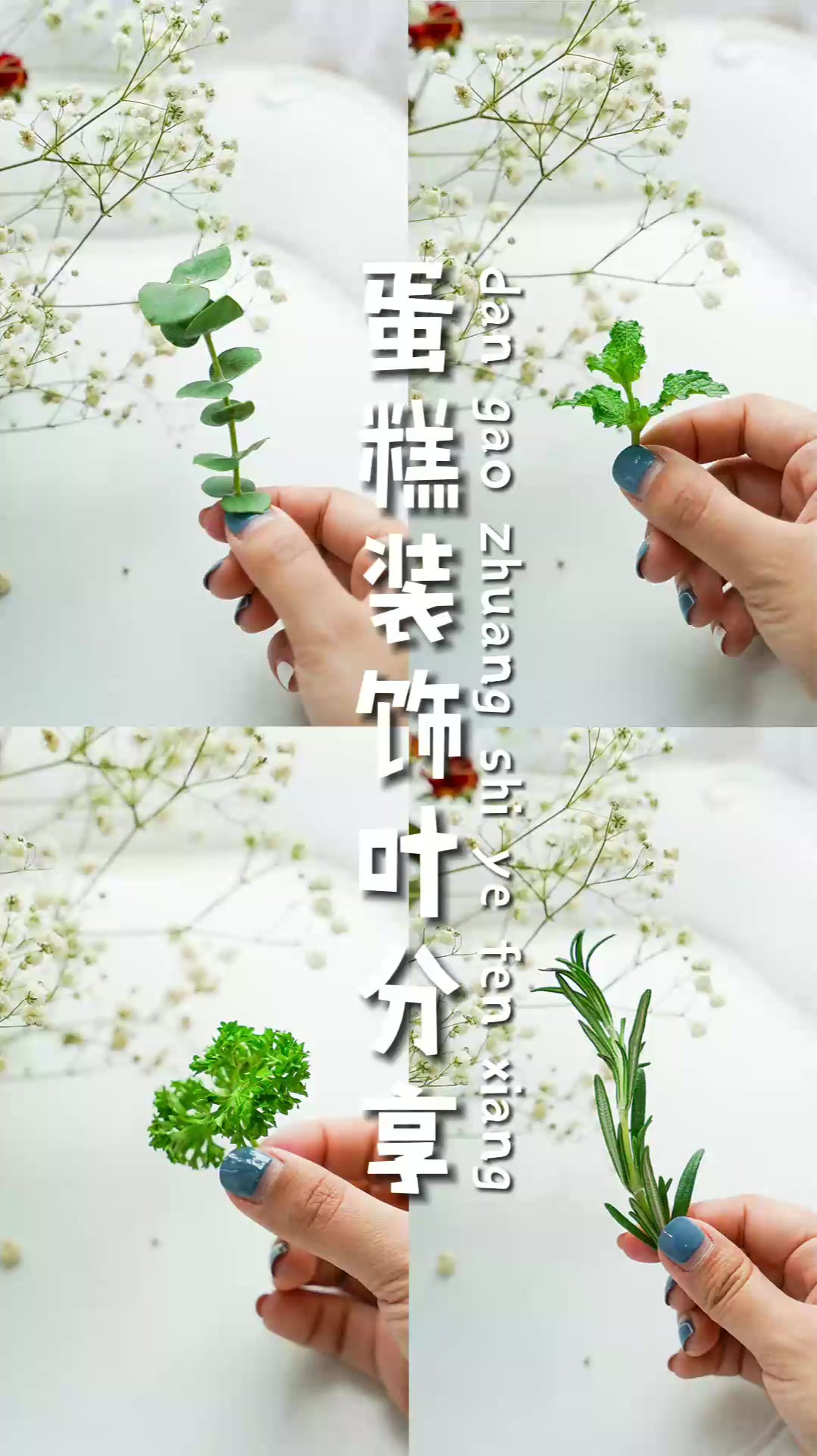 一片叶子,打造超火ins风蛋糕装饰