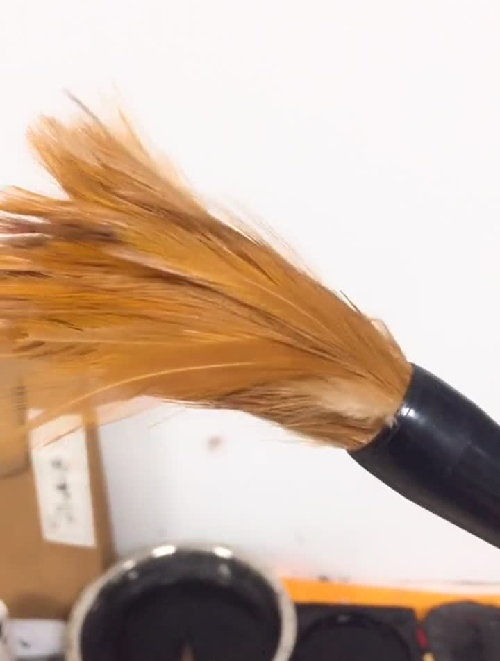 鸡毛笔,效果一流,今日分享