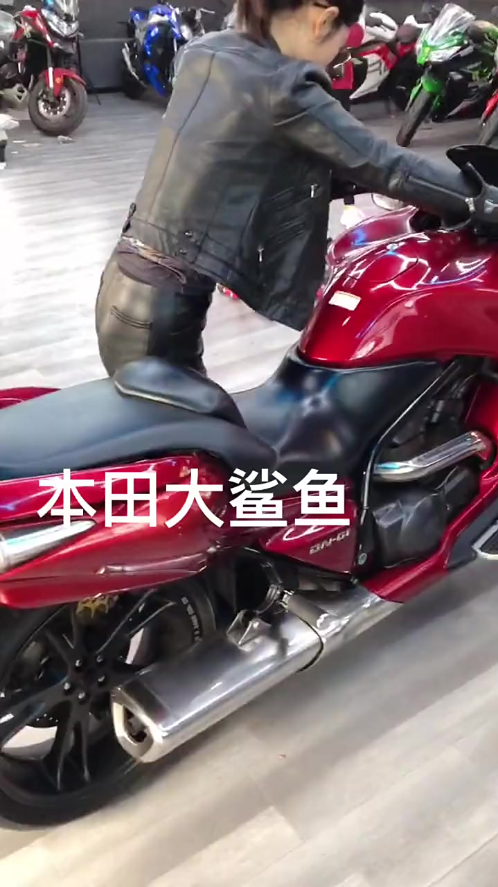本田大鲨鱼,DN-01双缸水冷V型发动机680cc