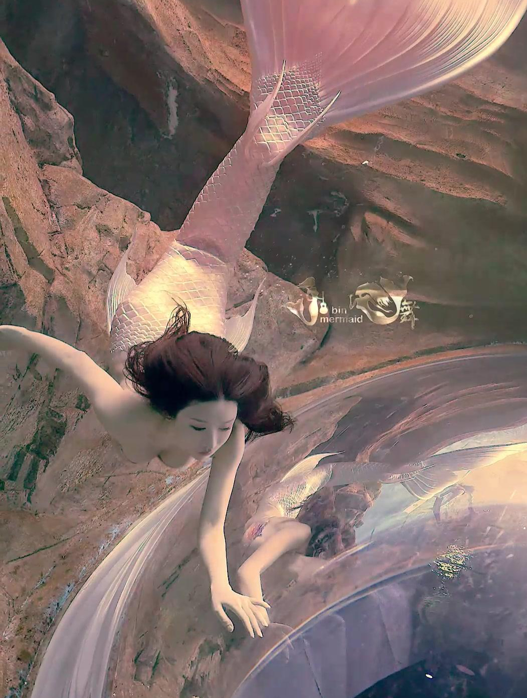 年年有鱼 水下摄影人鱼 美人鱼