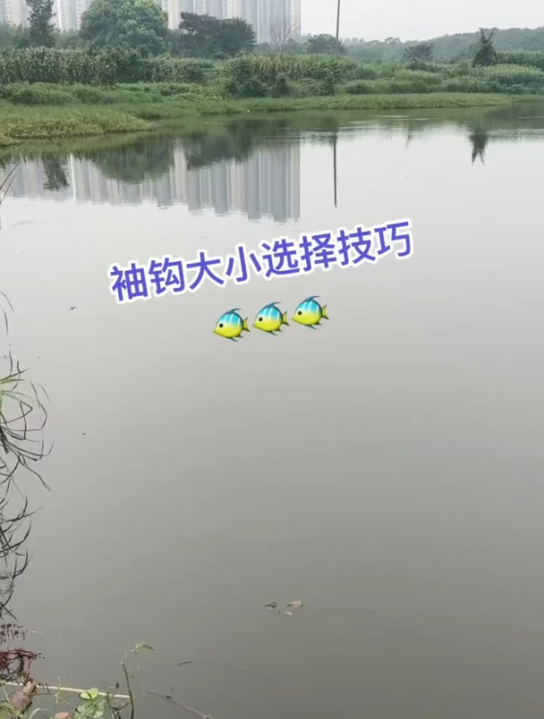 袖钩太小鱼儿吞的太深,还跑鱼,哪个型号比较合适呢?