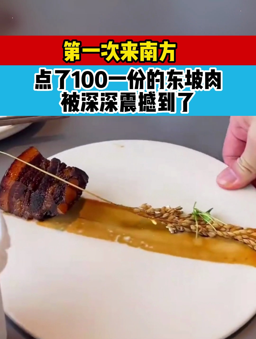 第一次来南方,点了100一份的东坡肉,被震惊到了
