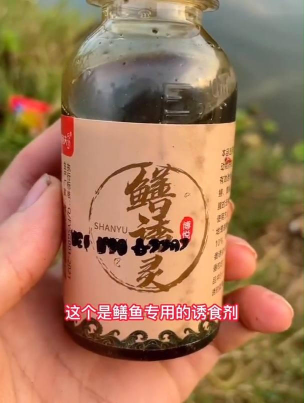 抓黄鳝得用这个诱食剂,加一点,黄鳝排着队往里钻
