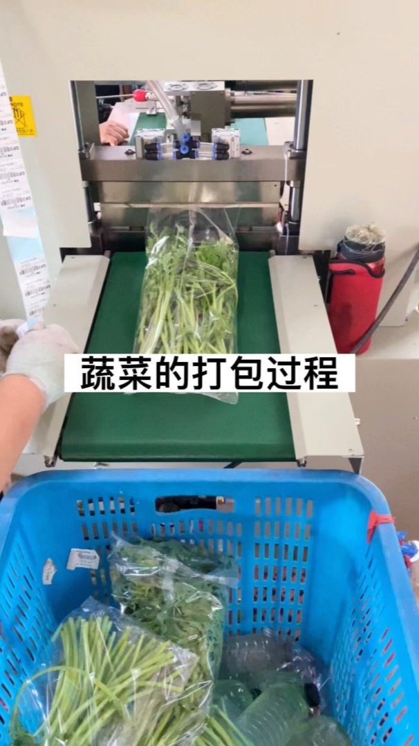 蔬菜自动包装机 青菜打包机 团购蔬菜套袋过程 枕式包装机