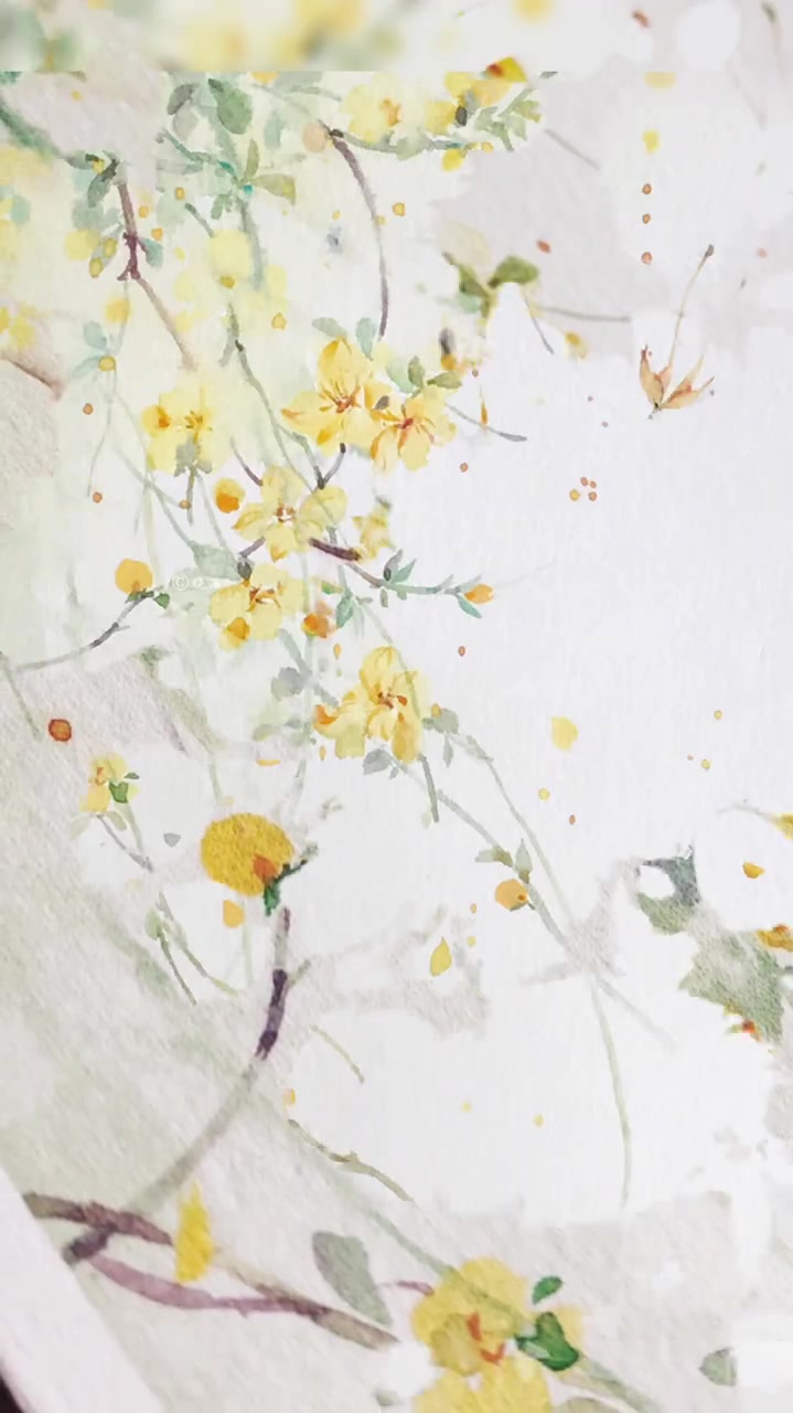 迎春花盛柳,春天插画