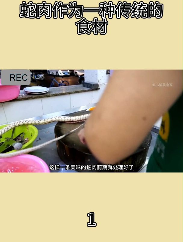 蛇肉作为一种传统的食材1