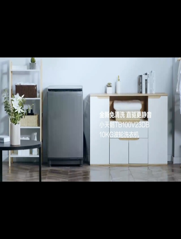 小天鹅(LittleSwan)10公斤直驱变频 一键脱水 除螨洗TB100V23DB